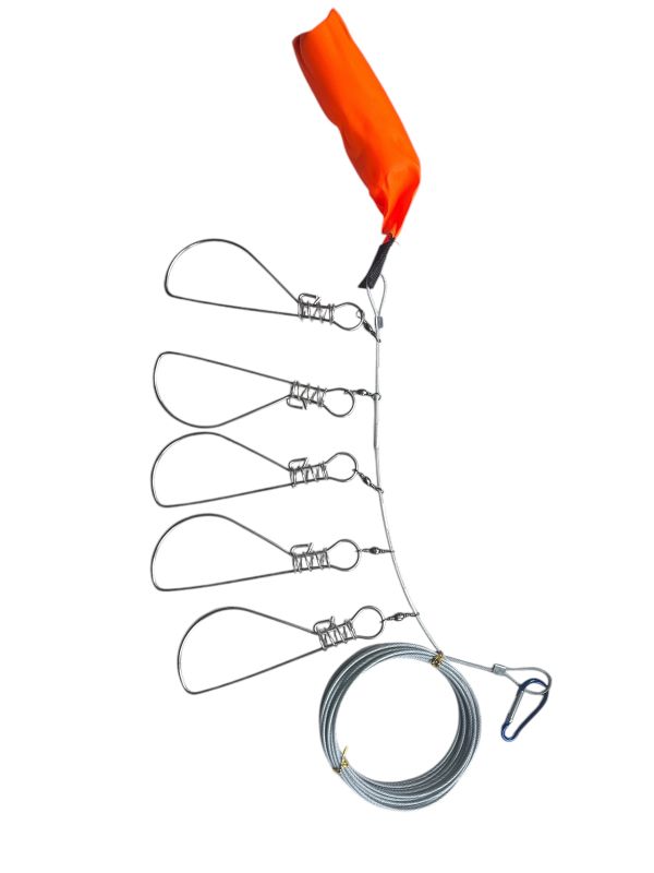 Кукан для риби на 5 відводів з поплавцем та шнуром довжиною 5 м