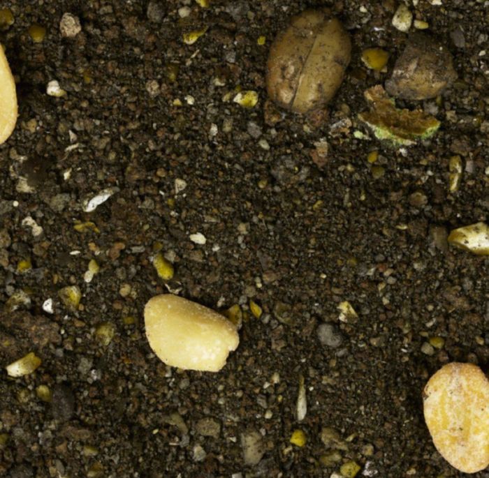 Підгодовування Interkrill - Плотва-Ваніль-Аніс - Серія Premium Baits - 1 кг