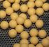 Бойли Carp Catchers Pop Ups - Плаваючі - Ø14 мм - Однотонні - Fluoro Orange - Spicy Krill