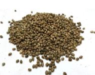 Насіння коноплі сухі