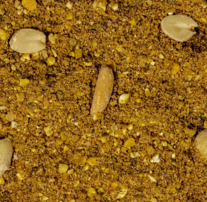 Підгодовування Interkrill - Карп-Тигровий горіх-Імбір - Серія Premium Baits - 1 кг