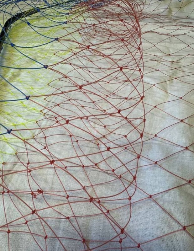 Підсак складаний - Ø70 см - Лісочка