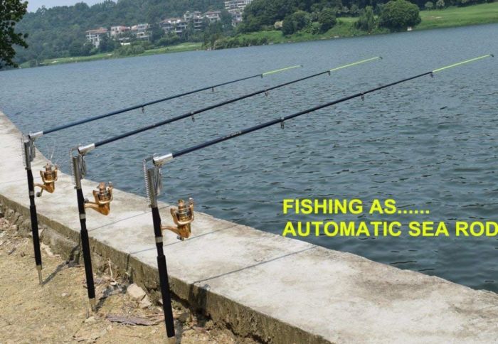 Спінінг Diwa Automatic Rod (Самопідсікаюче вудлище)